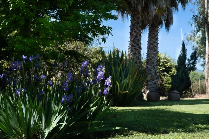 Alojamiento &amp; Bienestar en La Esperanza – Piscina, Jacuzzi y Naturaleza