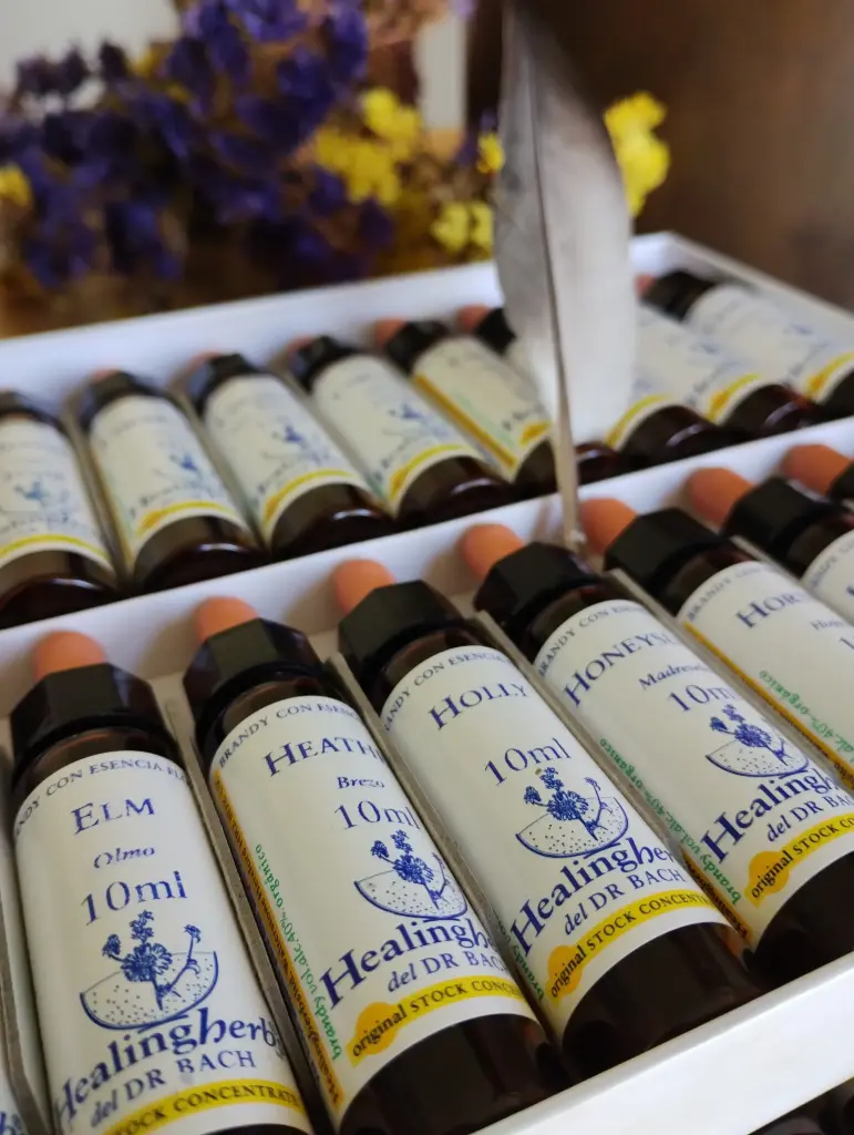 Terapia Floral - Emocional y Energética