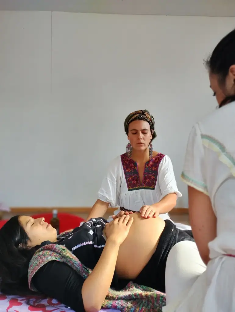 Partería Intercultural - Útero - Embarazos - Ciclos