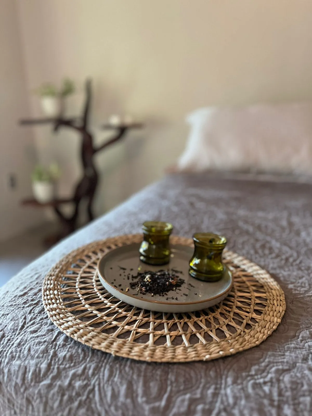 Casa completa en la naturaleza con hot tub, piscina y terapias